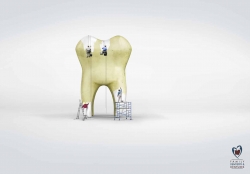 Family Dentistry & Dentures: Whitening