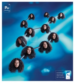 Head & Shoulders: Polamolecule