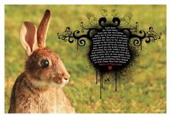 School of Visual Arts: Rabbit