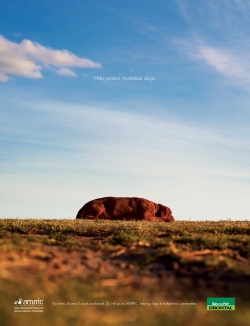 Drontal Allwormer: Uluruff