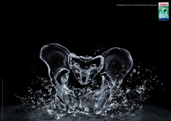 Anlene: Pelvis