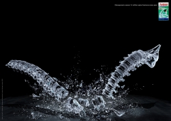 Anlene: Spine