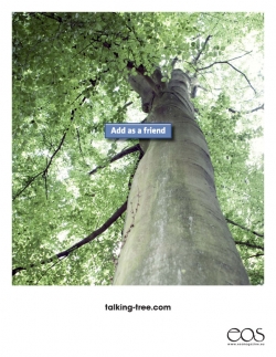 eos Magazine: Talking Tree