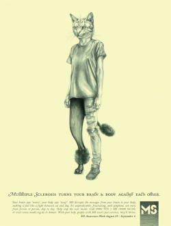 Multiple Sclerosis Society: Cat vs Dog
