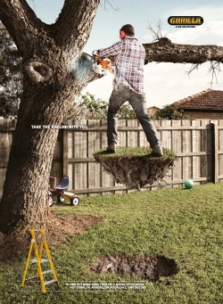 Gorilla Ladders: Gorilla Ladders exterior