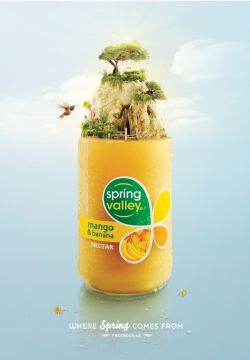 Spring Valley: mango