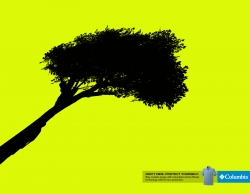 columbia: tree