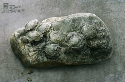Surfrider Foundation: Fossil tins