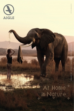 AIGLE: AIGLE ELEPHANT