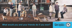 Washington's Lottery: Cats