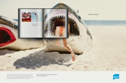 Blurb: Shark