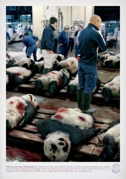 Sea Shepherd Conservation Society: Tsukiji Market