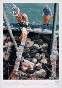 Sea Shepherd Conservation Society: Tuna Boat