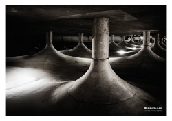Evolve Skateboards: CAR PARK