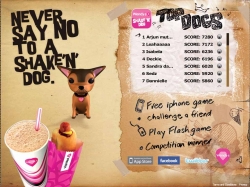 Wendy's: Shake 'n' Dog
