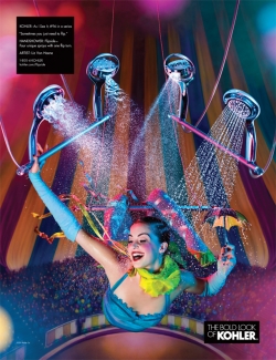 Kohler Flipside Handshower: Trapeze