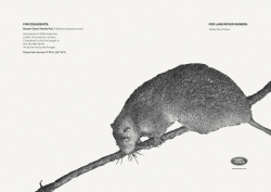 Land Rover: Bosavi Giant Wolly Rat
