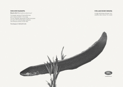 Land Rover: Electric Eel