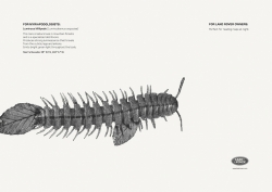 Land Rover: Luminous Millipede