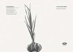 Land Rover: Snow Mountain Garlic