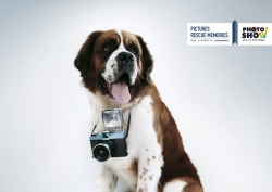 Photoshow: AD