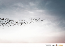 STIHL: Birds