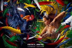 Federation Francaise de Football: France - Brazil