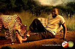 http://www.bestadsontv.com/files/print/2011/Jan/tn_33965_leopard.jpg http://www.bestadsontv.com/files/print/2011/Jan/tn_33965_leopard.jpg