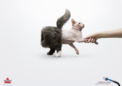 ShedAway Pet Vacuum attachment: Persian Cat