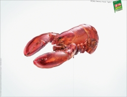 ENO: Food Balloon - Lobster