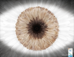 Eye Mo: Itchy Eye - Feather