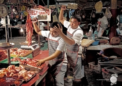Saridon: Butcher