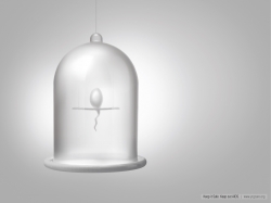 YRG Care: Condom Cage