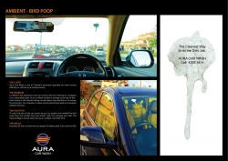 Aura Car Wash: Bird Poop