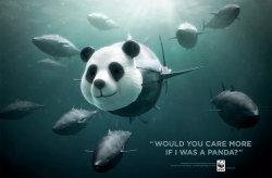 WWF: Tunapanda