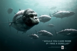 WWF: Tunagorilla