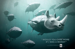 WWF: Tunarhino