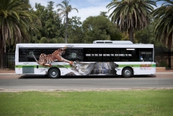 Perth Zoo: Tiger Bus: Bus side