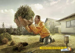 Voltaren: Bulldozer