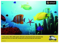 smart: Screensaver Fish