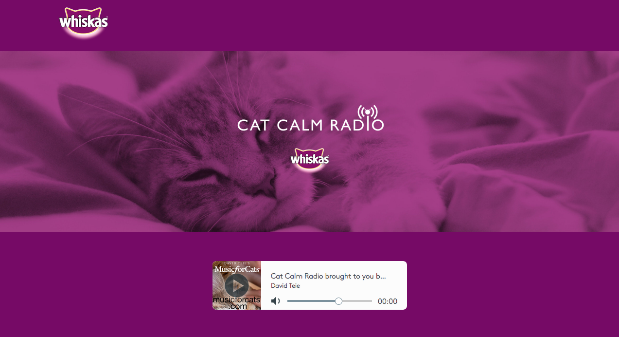 cat calm radio